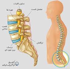 جراحی ستون فقرات